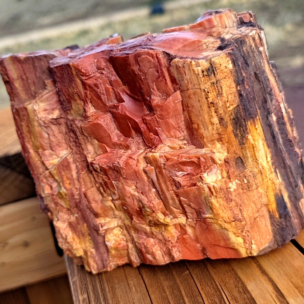 2lbs 67oz Az rainbow chunk Agatized petrified wood specimen
